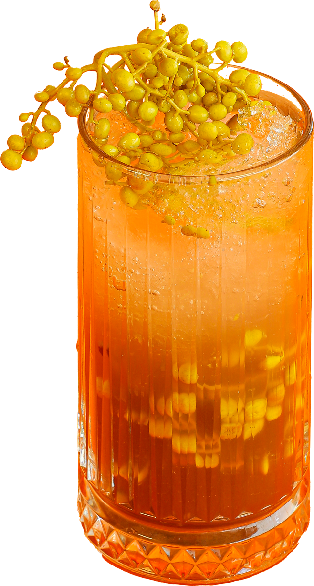 ماکتیل ونوشک