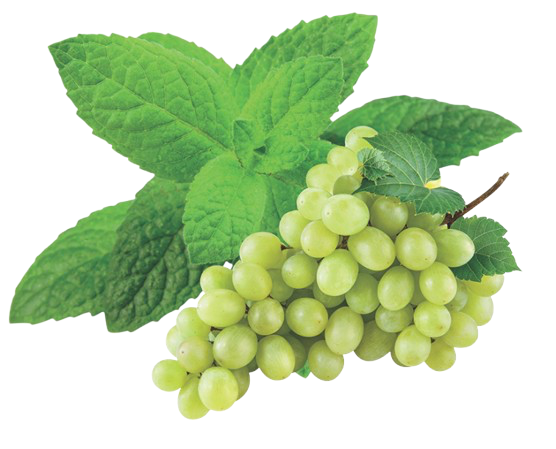 قلیان انگور نعنا